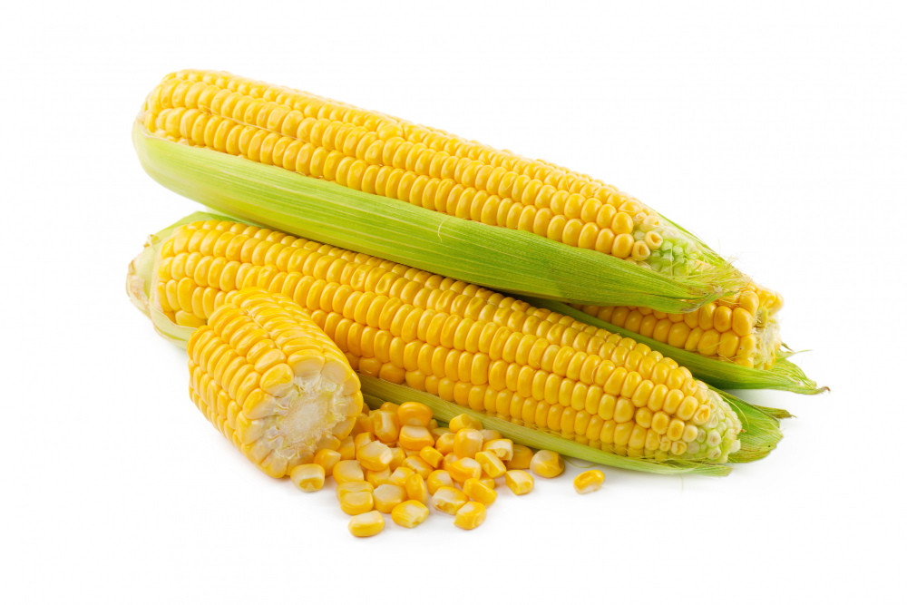 Corn