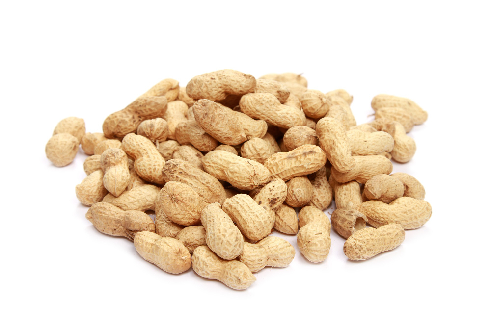 Groundnut