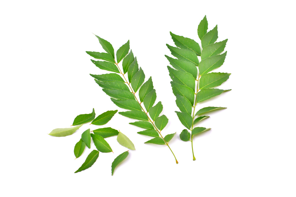 Curry Leaves